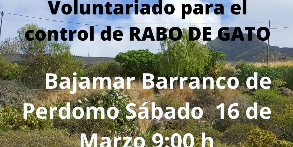 Bajamar