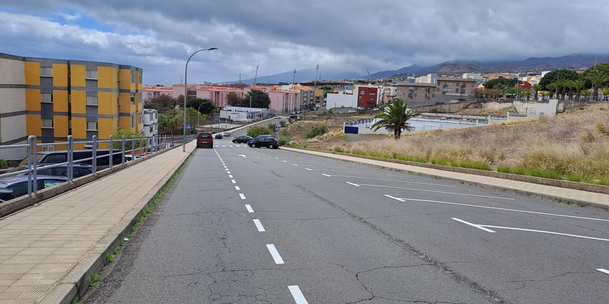 El Cardonal 2