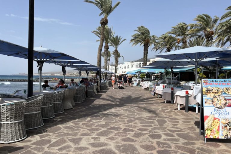 Establecimientos de restauración en Tenerife sur