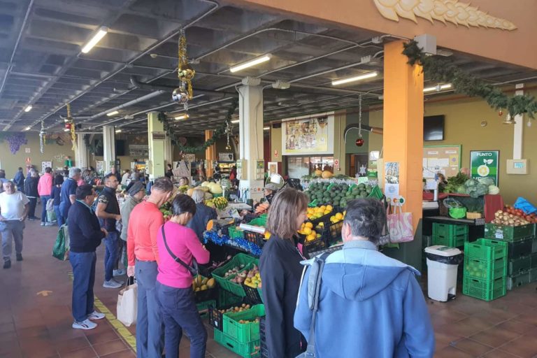 MERCADO DEL AGRICULTOR LA GUANCHA3