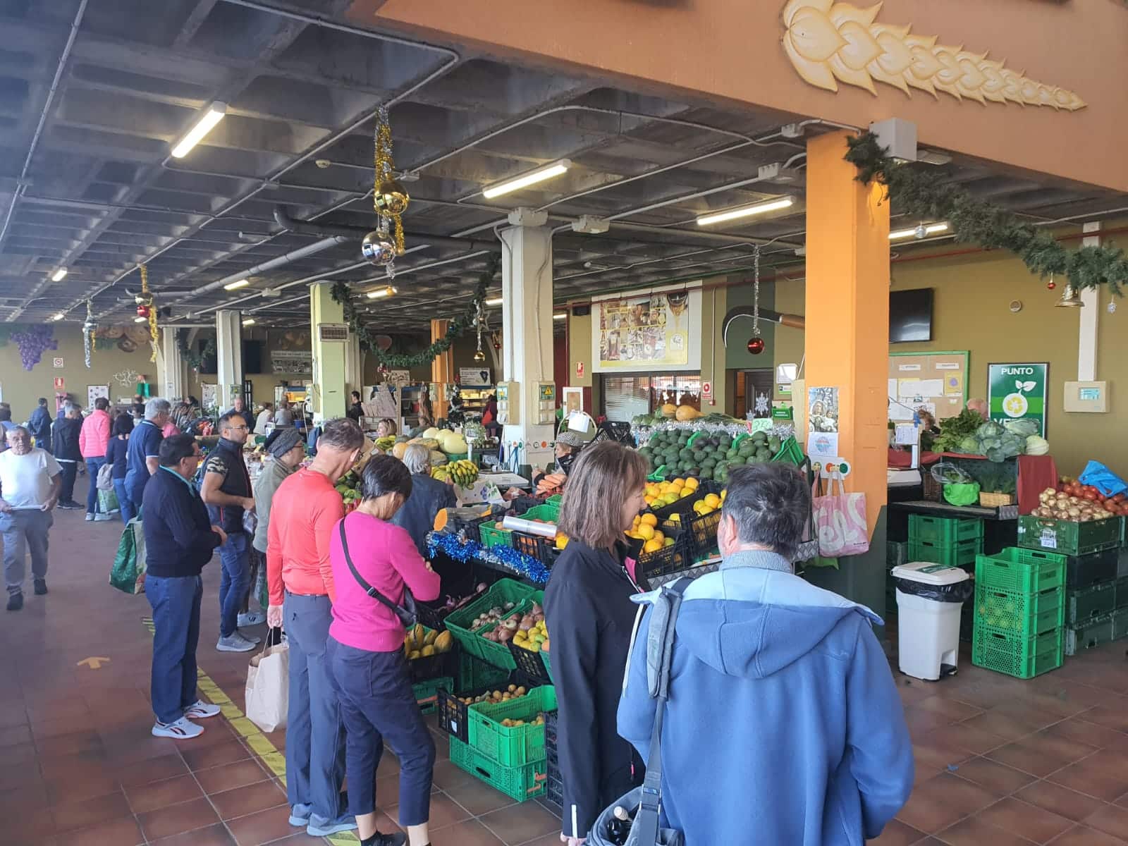 MERCADO DEL AGRICULTOR LA GUANCHA3