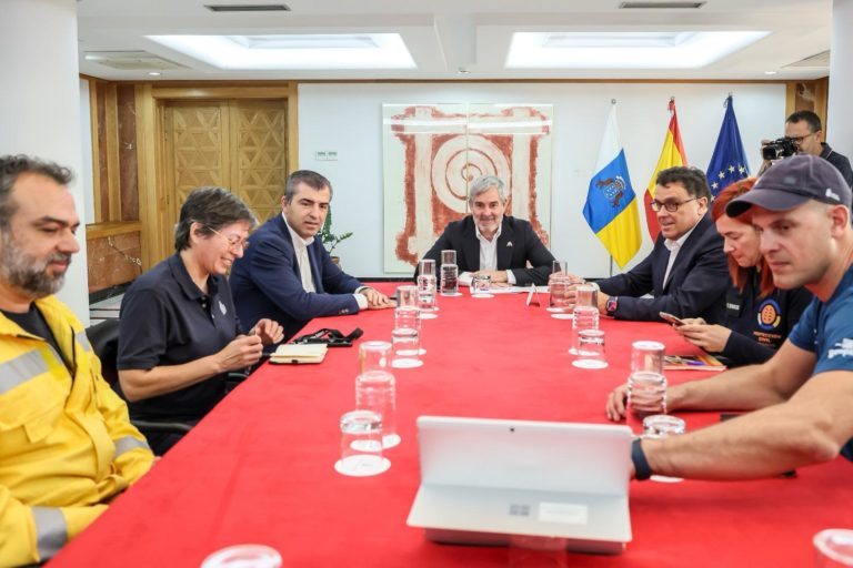 PLAN DE ACTIVACIÓN CONTRA INCENDIOS FORESTALES-GOBIERNO DE CANARIAS 18-3-24