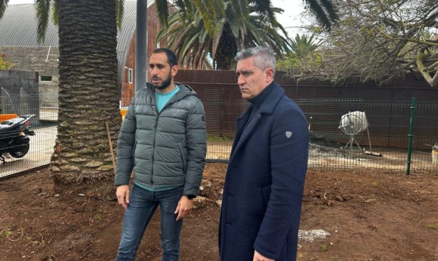 Parque canino 1