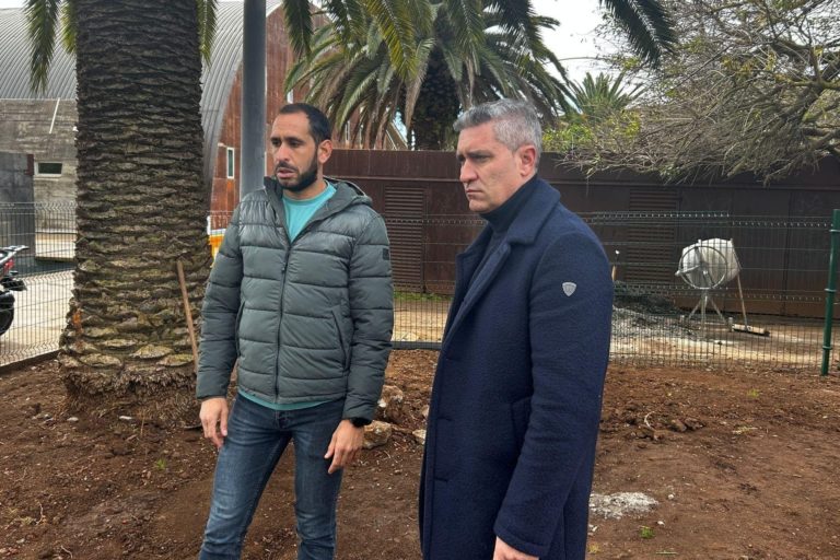 Parque canino 1