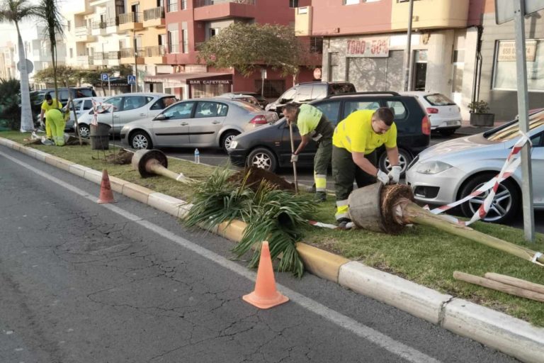 Trabajo en la Avenida Santa Cruz (San Isidro)