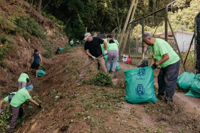 Voluntariado Ambiental-Erradicación flora exótica