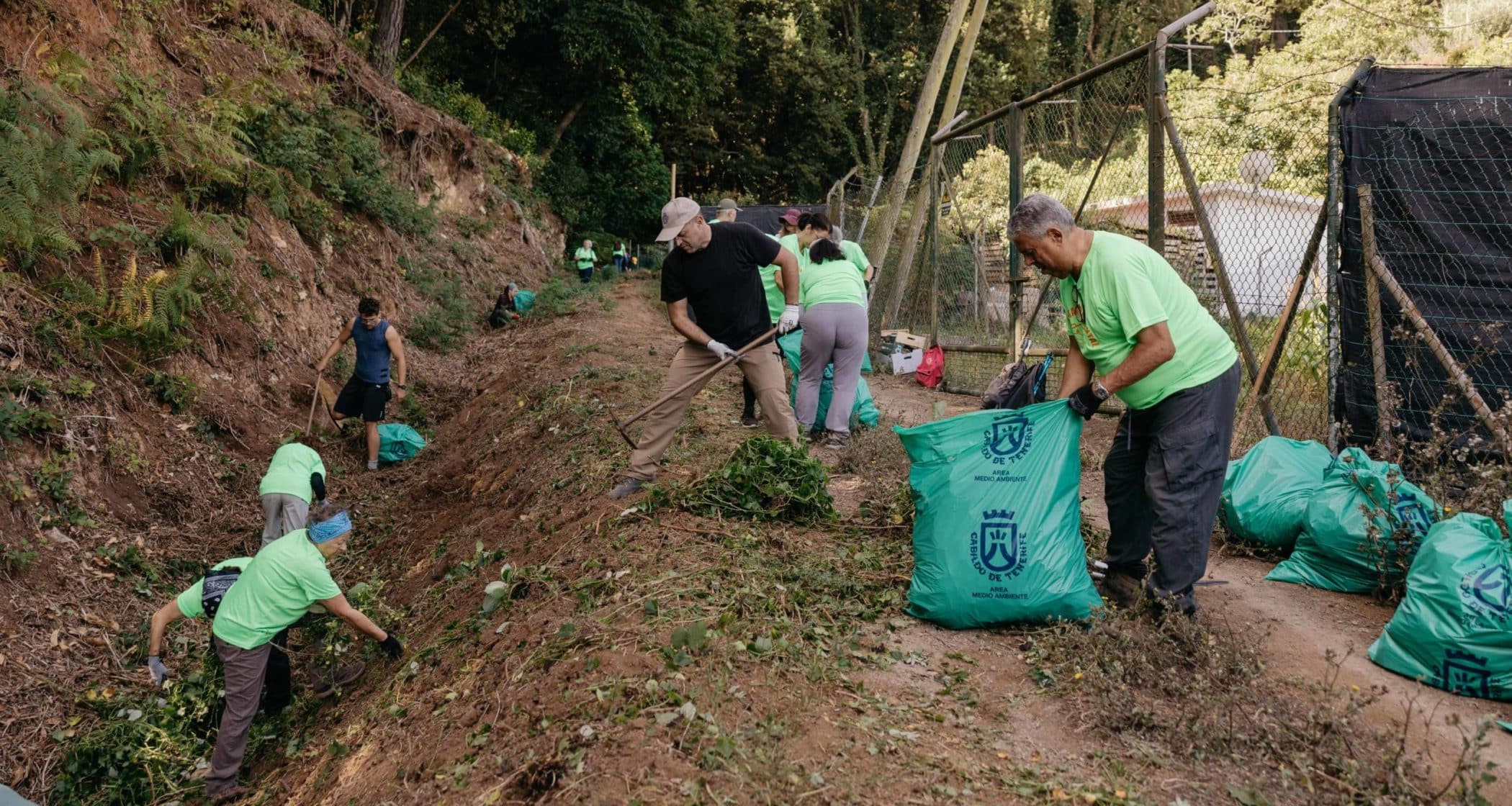 Voluntariado Ambiental-Erradicación flora exótica