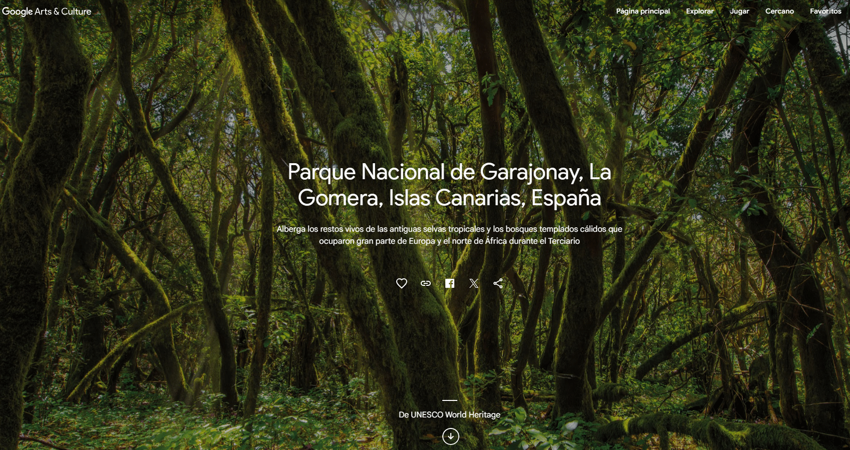 230424 Portada del reportaje dedicado a La Gomera en la colección oficial de la UNESCO de la plataforma Google Arts & Culture