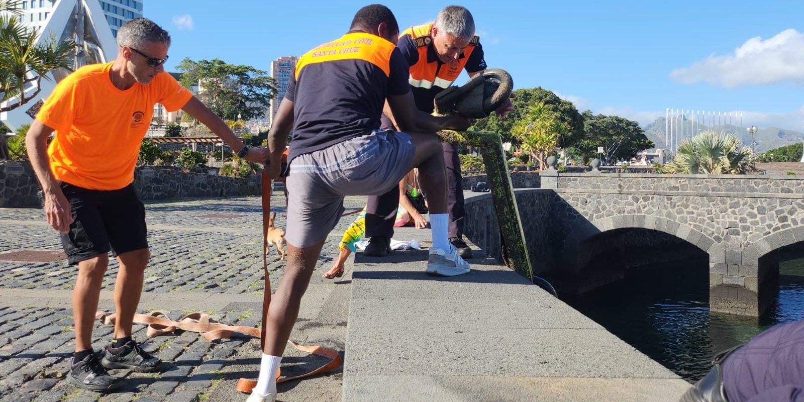 240403 Recuperación de patinetes en el Castillo Negro