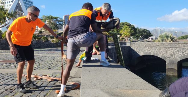 240403 Recuperación de patinetes en el Castillo Negro