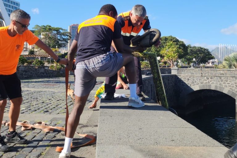 240403 Recuperación de patinetes en el Castillo Negro