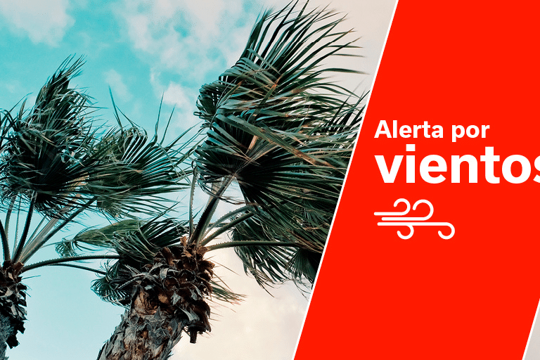 ALERTA POR VIENTO EN CANARIAS 8-4-24