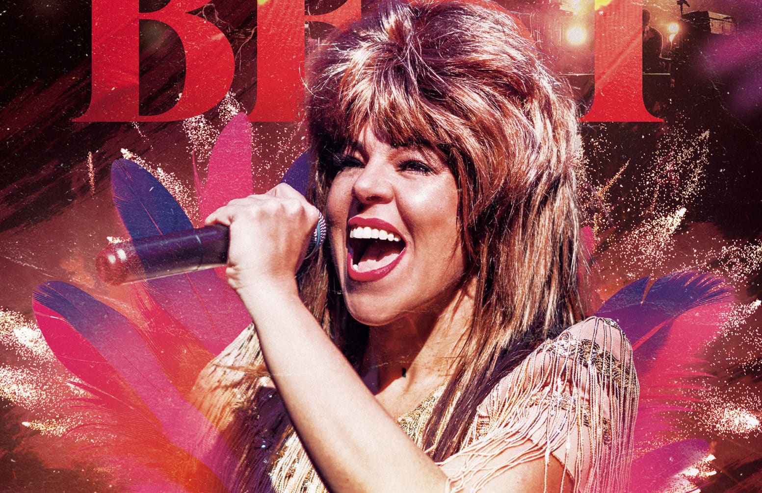 Arona Tina Turner