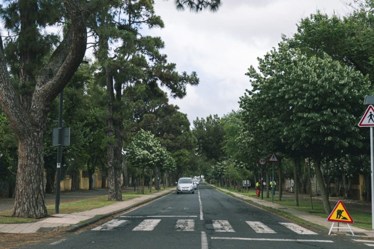 Imagen de Archivo del Camino Las Peras