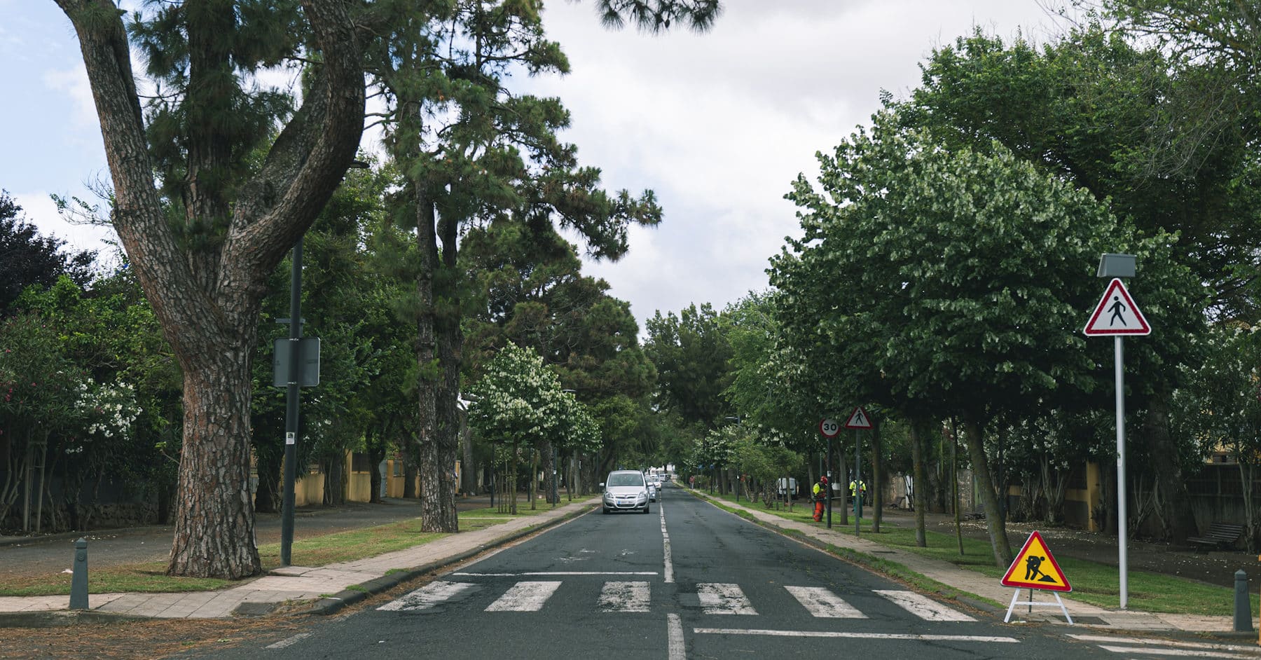 Imagen de Archivo del Camino Las Peras