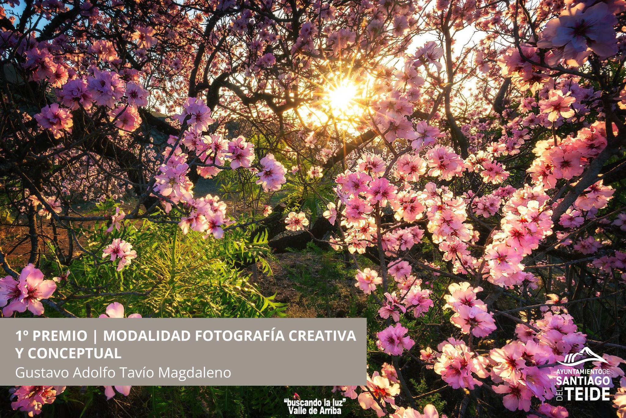 Primer premio modalidad creativa y conceptual
