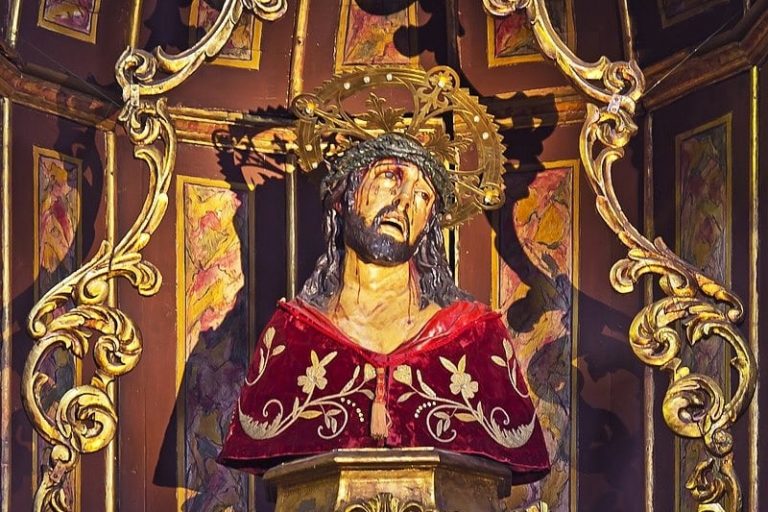 SEÑOR DE LAS TRIBULACIONES 8-4-24