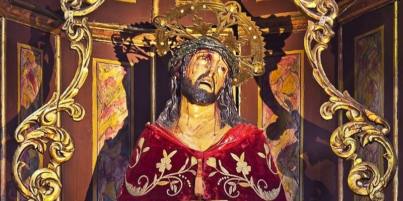 SEÑOR DE LAS TRIBULACIONES 8-4-24