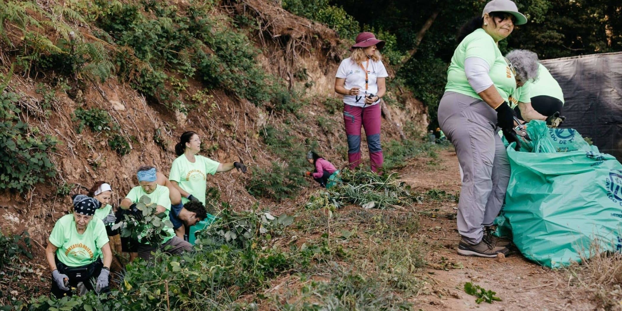 Voluntariado Ambiental