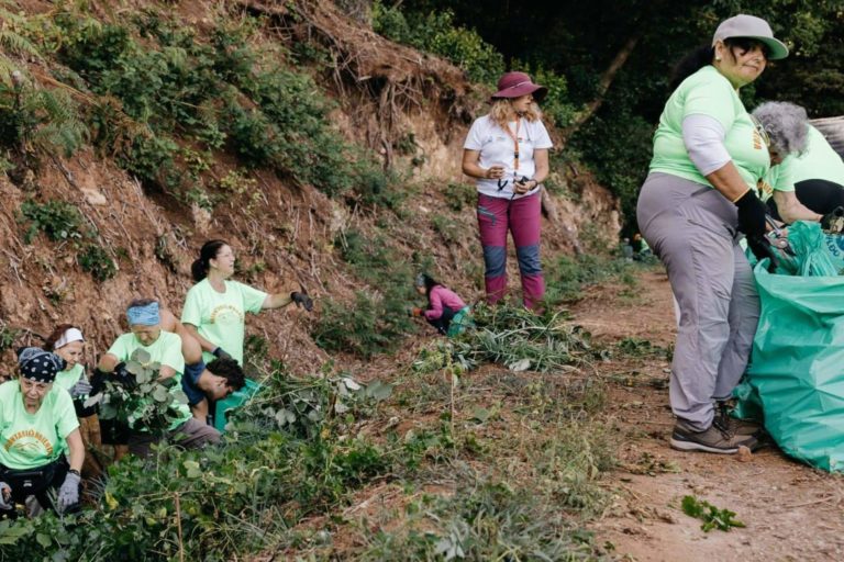 Voluntariado Ambiental