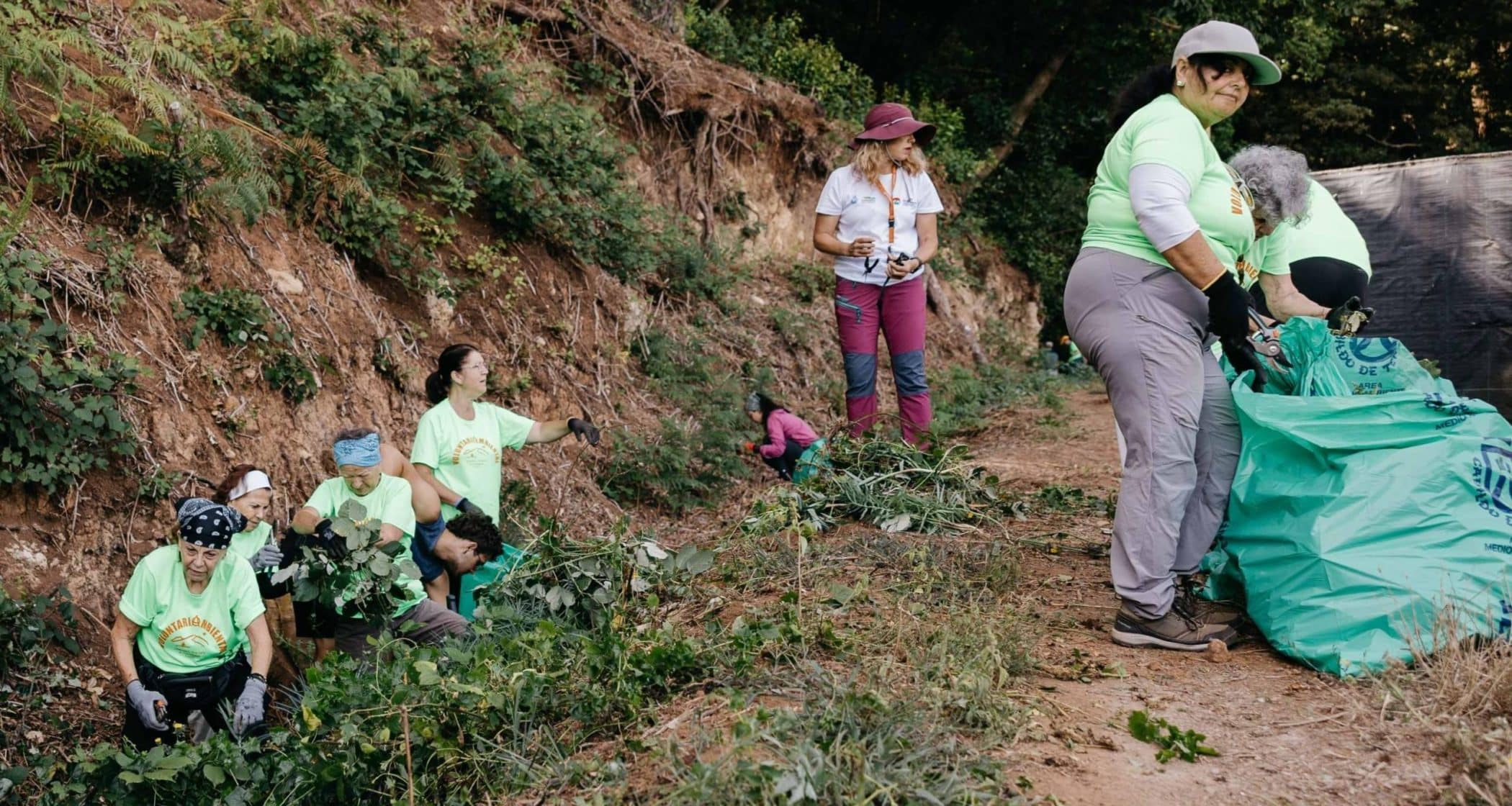 Voluntariado Ambiental