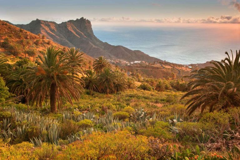 150524 Isla de La Gomera
