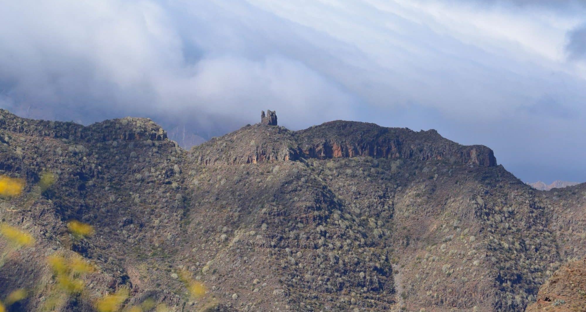 240531 Monte de Las Mesas