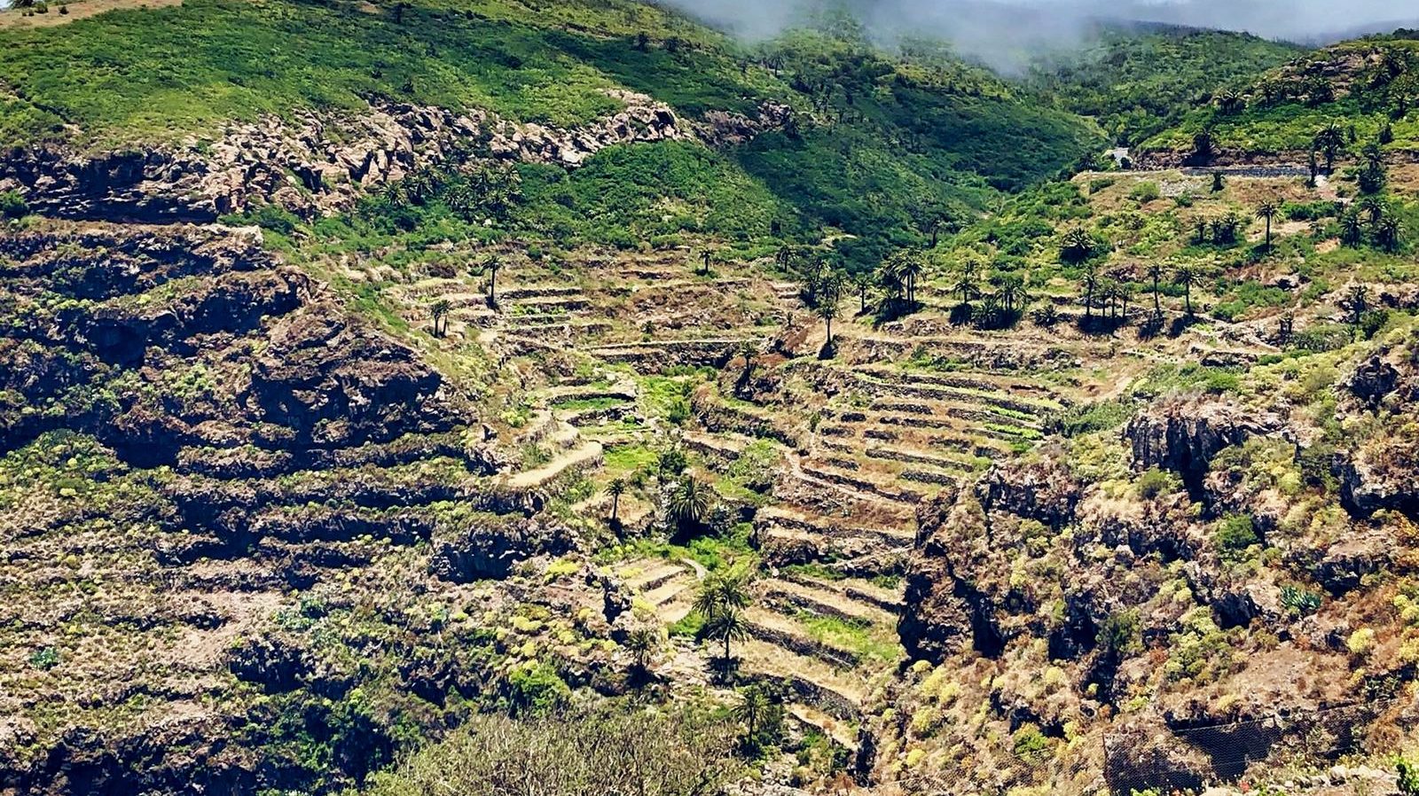 290524 Bancales en la isla de La Gomera