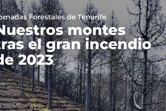 Cartel-Jornadas Forestales Tenerife
