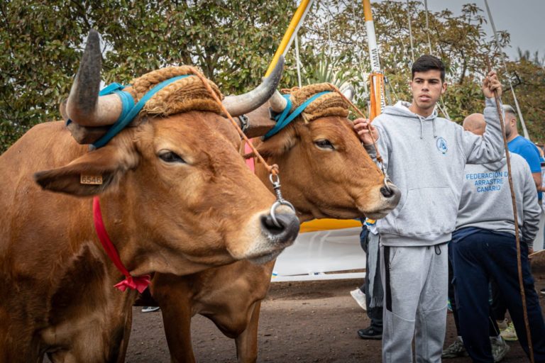 FOTO. Inaguración de la Semana Canaria de Deportes Autóctonos (5)
