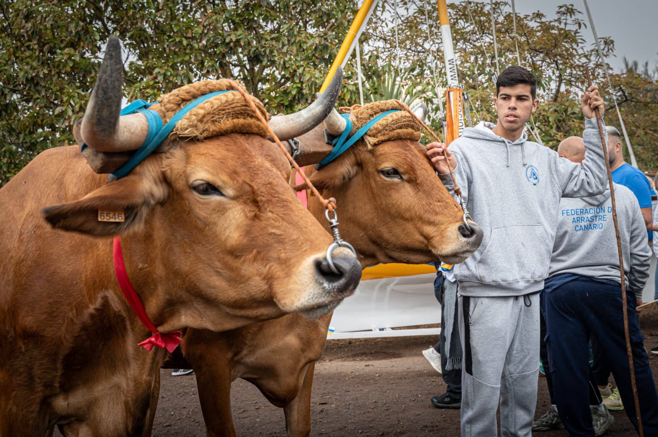 FOTO. Inaguración de la Semana Canaria de Deportes Autóctonos (5)