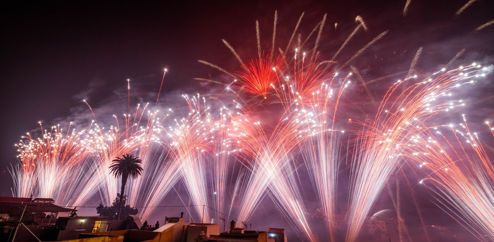 FUEGOS ARTIFICIALES DE LOS REALEJOS 3-5-24