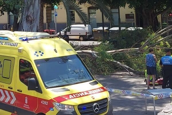 HERIDO UN JOVEN AL CAÉRSELE LA RAMA DE UN ÁRBOL ENCIMA EN SANTA CRUZ 28-5-24