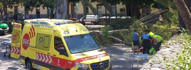 HERIDO UN JOVEN AL CAÉRSELE LA RAMA DE UN ÁRBOL ENCIMA EN SANTA CRUZ 28-5-24