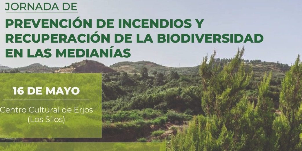 Jornada Los Silos