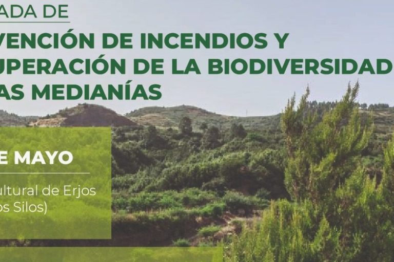 Jornada Los Silos