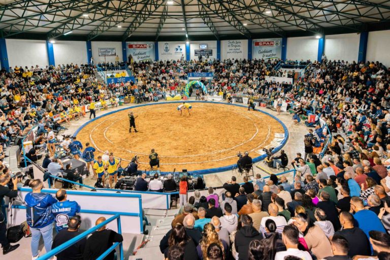 LUCHADA INSTITUCIONAL – DÍA DE CANARIAS 29-5-24