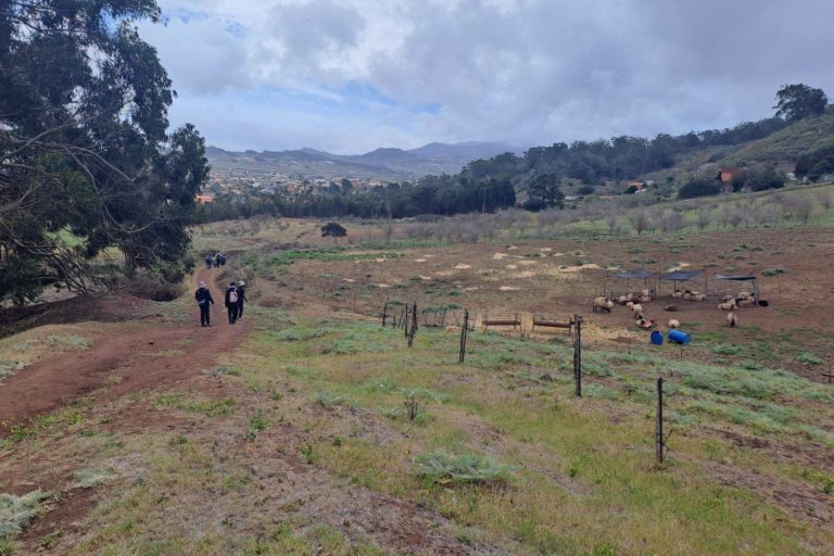 Mesa Mota 00 Foto (FB Grupo Montañero de Tenerife)
