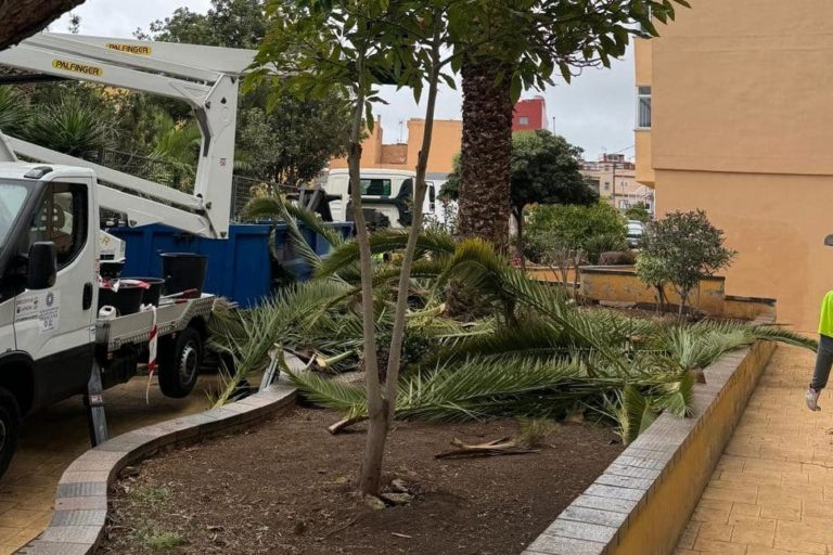 Poda Padre Anchieta
