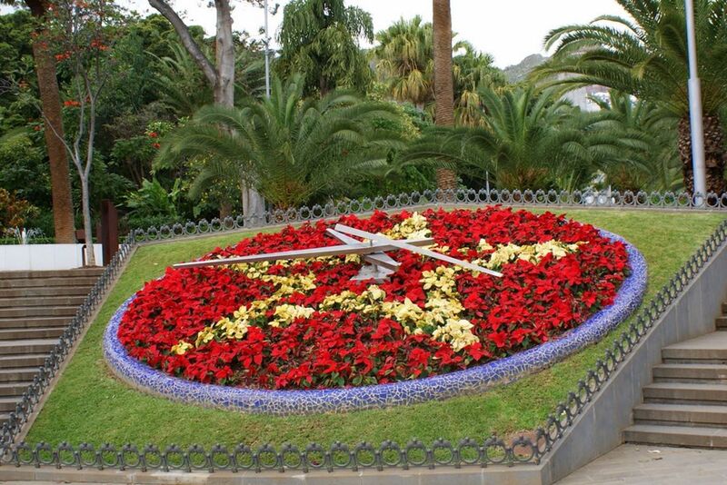 RELOJ DE FLORES DE SANTA CRUZ 28-5-24