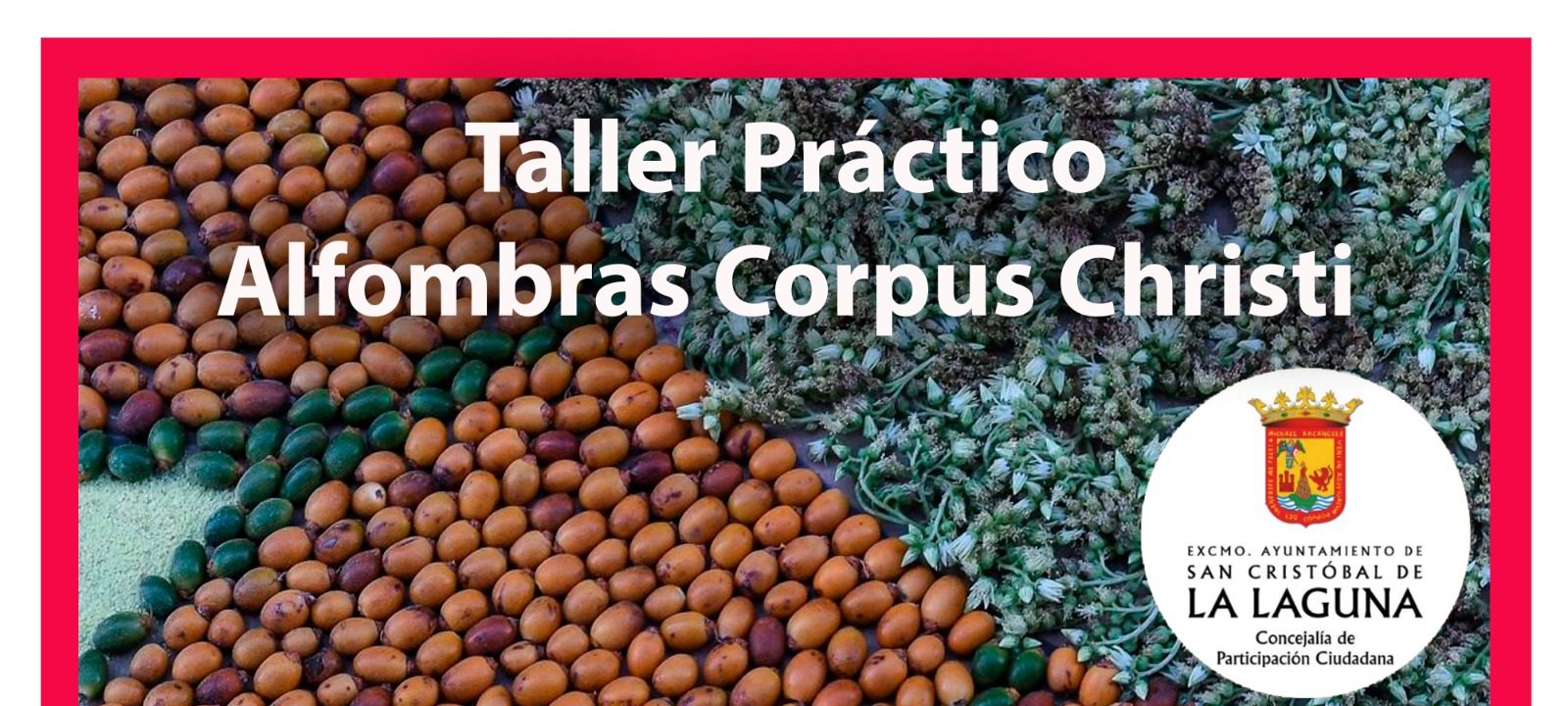 Taller de alfombras
