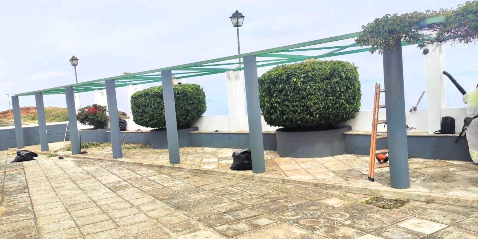 Trabajos en las zonas ajardinadas (4)