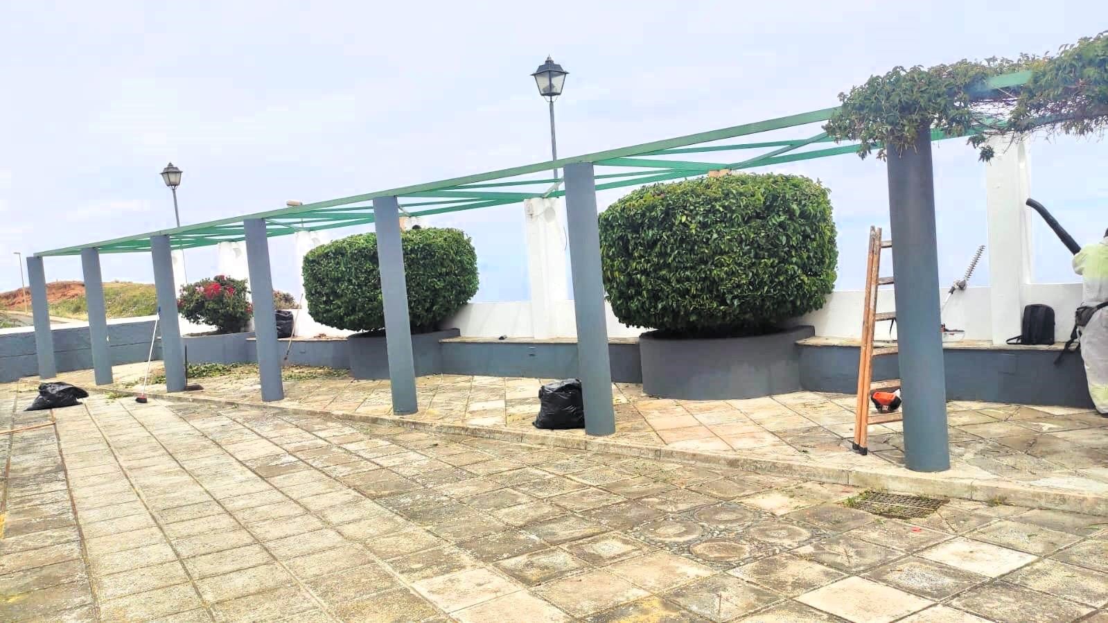 Trabajos en las zonas ajardinadas (4)