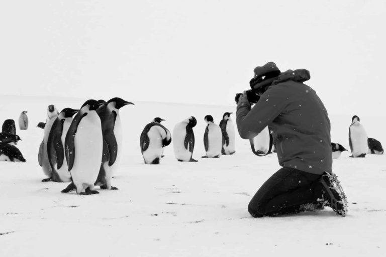 antarcticacalling_ficmec20241