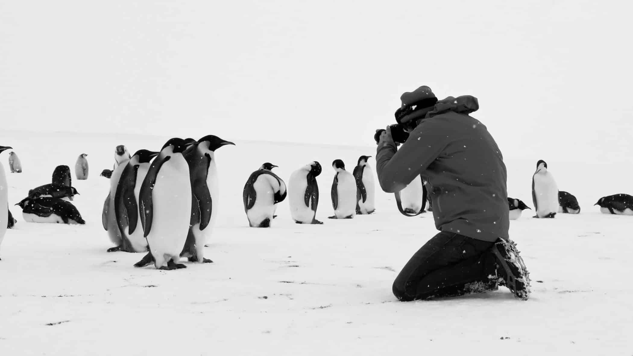 antarcticacalling_ficmec20241
