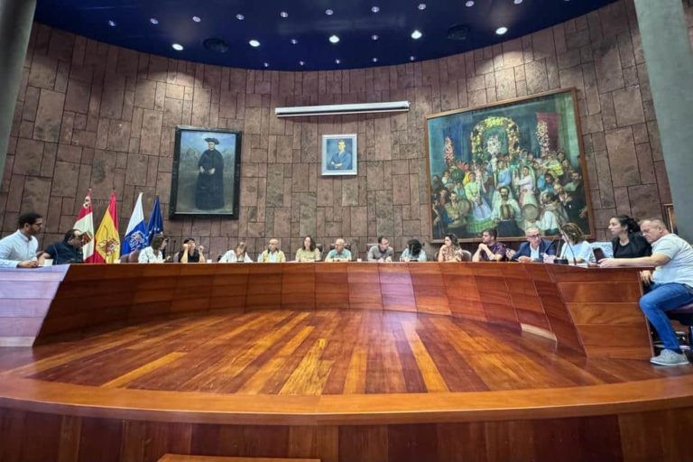 120624 Foto de archivo de una sesión plenaria del Cabildo de La Gomera