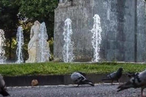 240623 Sanción Palomas