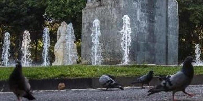 240623 Sanción Palomas
