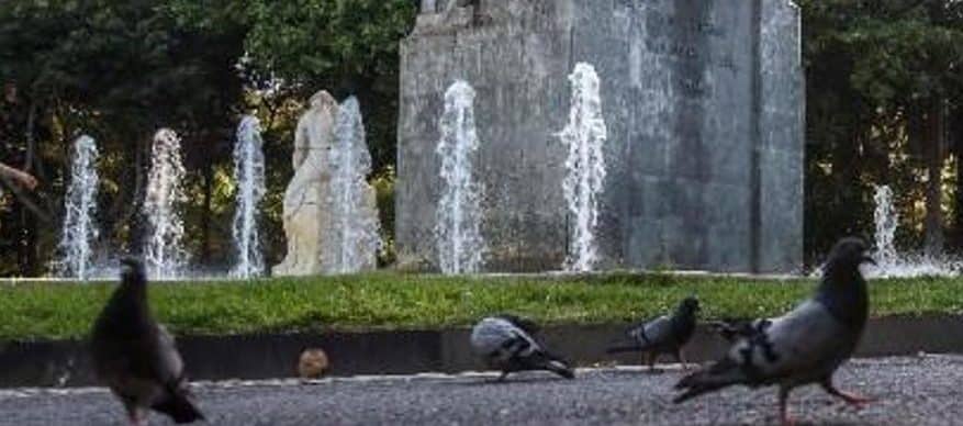 240623 Sanción Palomas