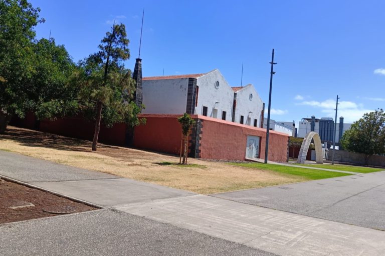 Estado actual del césped del Polvorín de Taco 2